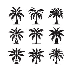 Black palm trees set isolated on white background. Palm silhouettes. Design of palm trees for posters, banners and promotional items. Vector illustration