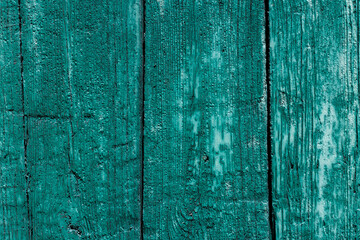 arrière plan texturé constitué de vieilles planches de bois, recouvertes de peinture verte...