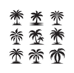 Black palm trees set isolated on white background. Palm silhouettes. Design of palm trees for posters, banners and promotional items. Vector illustration