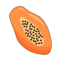 Ripe papaya fruit in cut, cartoon icon isolated on white, summer tropical fruit vector