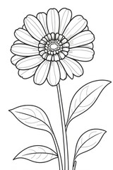 Zinnia flower Kids/ adults coloring page book art, line art illustration