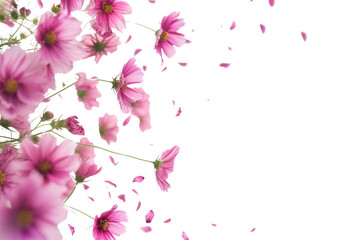 PNG Flying pink flowers border backgrounds blossom nature.