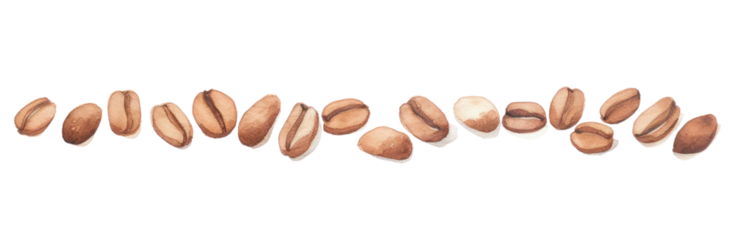 PNG Coffee beans as divider line watercolour illustration white background freshness beverage.