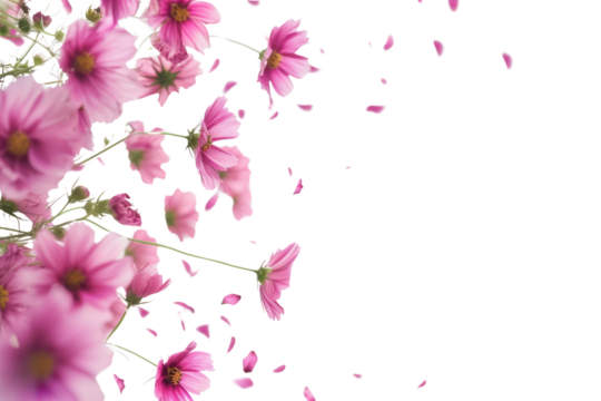PNG Flying pink flowers border backgrounds blossom nature.