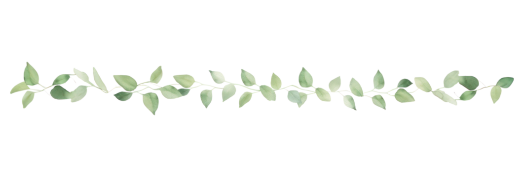 PNG Green leaves as divider line watercolour illustration backgrounds plant leaf.