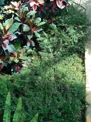 Greenhouse Ambience IMG_20231029_131606 🌿 