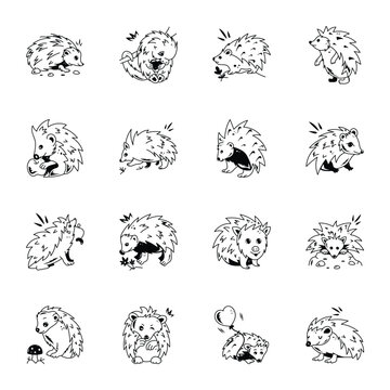 Set of 16 Doodle Style Porcupine Icons 

