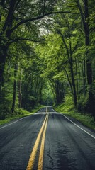 Obraz premium Empty road through lush green forest, curved pathway. Nature and serenity concept