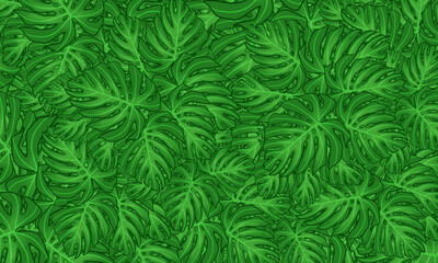 green tropical leaves  spring nature wallpaper  background