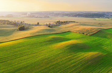 Fototapeta premium Farm field on sunset. Foggy morning in countryside, aerial view. Agricultural corn field on sunset. Rural landscape in autumn landscape. Green Agricultural field in sun's rays, drone view.