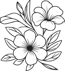 Easy yellow Allamanda cathartica flower drawing, vintage floral vector illustration, Oenothera speciosa flower botanical illustration simple outline, allamanda flower wall decor