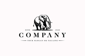 elephant logo design concept premium vector template