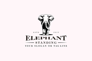 elephant logo design concept premium vector template