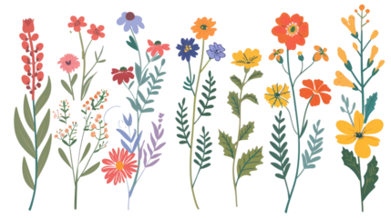 Meadow field cartoon flowers on transparent
