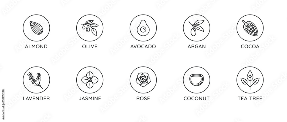 Poster vector set of natural ingredients and oils for cosmetics in linear style - packaging design template