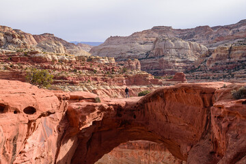 A wide shot capturing a man standing on Cassidy Arch in Capitol Reef National Park, Utah. The rugged red rock formations stretch across the scenic desert landscape - USA