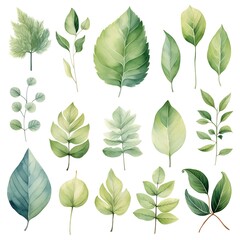 Set of green leaves isolated on white background. Realistic vector illustration.