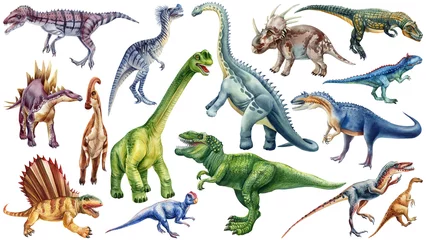 Fotobehang Dinosaurussen Realistic dinosaur isolated clipart. Hand painted watercolor dinosaurs illustration for encyclopedia of ancient animals  © Hanna