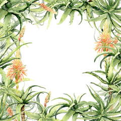 Fototapeta premium aloe plant watercolor square frame.
