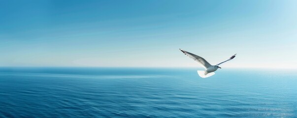 Fototapeta premium Seagull flying over the ocean with clear blue sky, tranquil and serene scene, freedom and nature concept