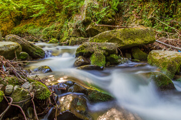 Woda płynąca w lesie  © Adam