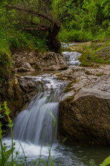 Woda płynąca w lesie 