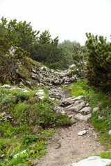 Obraz premium Wanderwege zum Loserfenster am Loser bei Bad Aussee, Salzkammergut, Streiermark, Österreich im Sommer