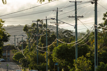 Power lines suspended on electricity poles on a street in Brisbane, Queensland