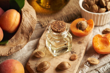 Apricot kernel oil in a glass jar with fresh ripe apricots
