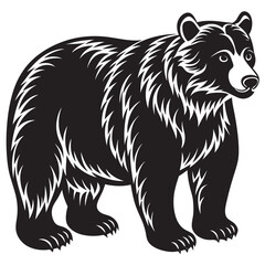 illustration of a bear