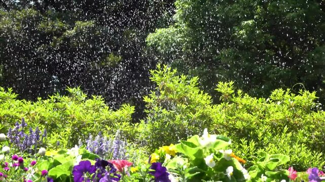 花壇の散水1