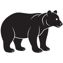 bear illustration
