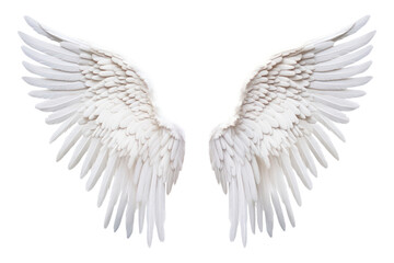 Obraz premium PNG Angel wing white bird white background.