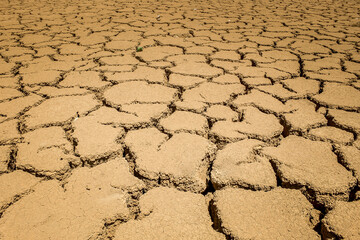 dry land texture background