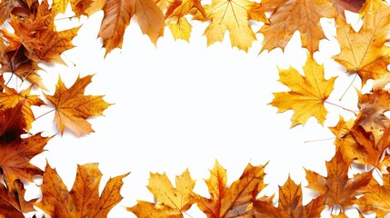 Fototapeta premium Autumn leaves on isolated white background framing copy space in the center. Autumn banner template