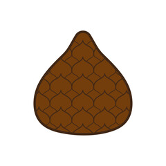salak flat design vector illustration isolated on white background. sweet tropical snake fruit. Exotic vegan food in flat detailed vector style for packaging, designs, decorative elements
