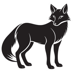 black and white fox