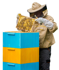 Pszczelarz w stroju ochronnym przy ulu z plastrem miodu i pszczołami. Przezroczyste tło. © YOUR SHOT