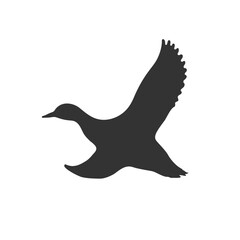 Flying duck graphic icon. Drake sign isolated white background. Vector illustration