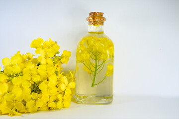 Rapeseed oil in a glass bottle with yellow rapeseed flowers on a white background.