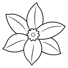 daffodil line art vector illustration