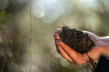 environmental scientist taking soil sample in australia