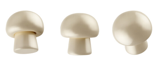 Set of 3d realistic raw champignon mushroom isolated on white background. Fresh fungus plant various view. Vector illustration.