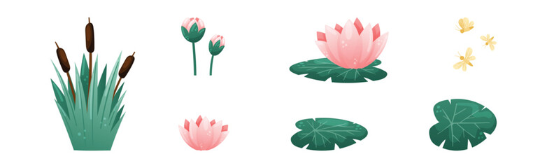 Water and Swamp Plants Waterlily and Reed Vector Set