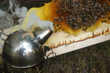 Honey, bees and beekeepers smoking equipment with smoke and fire coming out of the nozzle