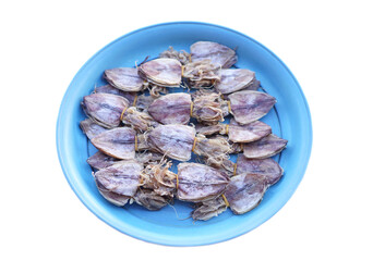 Dried squids in tray, isolated on white backgound. Concept, food  product from food preservation process, can be cooked in various menu.