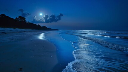 Imagine a peaceful evening walk along a moonlit beach. Picture the moonlight reflecting on the water, the cool sand underfoot, and the gentle sound of the waves creating a perfect moment 