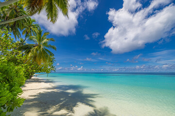 Summer beach landscape. Tropical island paradise. Exotic coast, palm trees, pristine sea, blue...