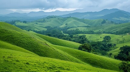 Fototapeta premium Imagine a vast expanse of rolling hills carpeted in lush greenery, with the gentle undulations of the landscape creating a sense of serenity and harmony in the countryside.
