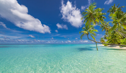 Summer beach landscape. Tropical island paradise. Exotic coast, palm trees, pristine sea, blue happy sky. Amazing nature pattern. Exotic destination travel background, vacation mood perfect wallpaper
